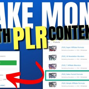 How to Make Money with PLR Content (DO THIS!)