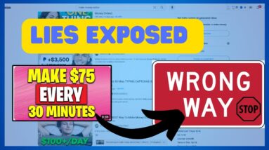 Make Money Online (Lies Exposed) Truth Revealed!