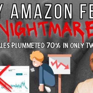 My Amazon FBA Nightmare: How My Sales Plummeted 70% in Only 2 Months!