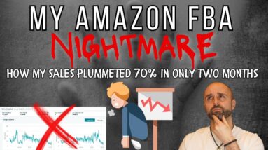 My Amazon FBA Nightmare: How My Sales Plummeted 70% in Only 2 Months!