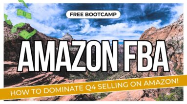 How To Maximize PROFITS During Q4 as an Amazon FBA Seller