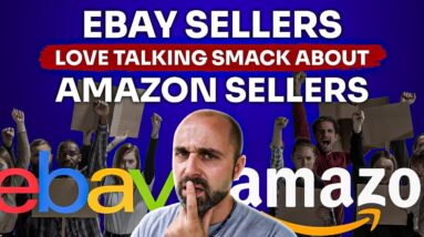 Ebay Sellers Love Talking Smack About Amazon Sellers…