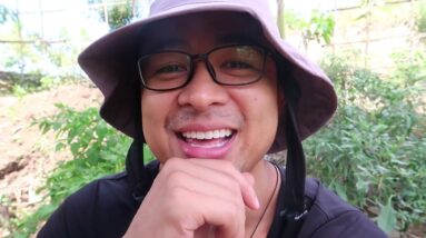 What would you do if you had a million dollars right now?