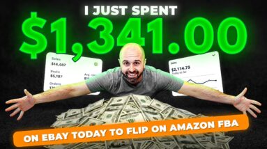 I Just Spent $1,341 on Ebay Today to Flip on Amazon FBA