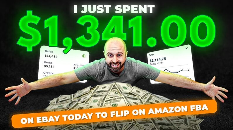 I Just Spent $1,341 on Ebay Today to Flip on Amazon FBA
