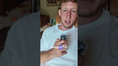 Tired of fighting crowds at thrift stores? #am