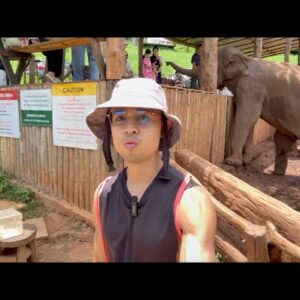 Why I walked away from my 850,000 Subscriber youtube channel