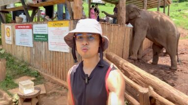 Why I walked away from my 850,000 Subscriber youtube channel