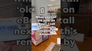 What you call 'old junk' on ebay, I call next month's rent paid by amazon!