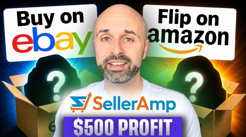 I Bought 10 Products on eBay and SOLD Them on Amazon for $500 Profit